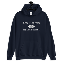 "Not just yet but in a moment..." Funny Hypnosis Hooded Sweatshirt