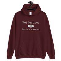 "Not just yet but in a moment..." Funny Hypnosis Hooded Sweatshirt